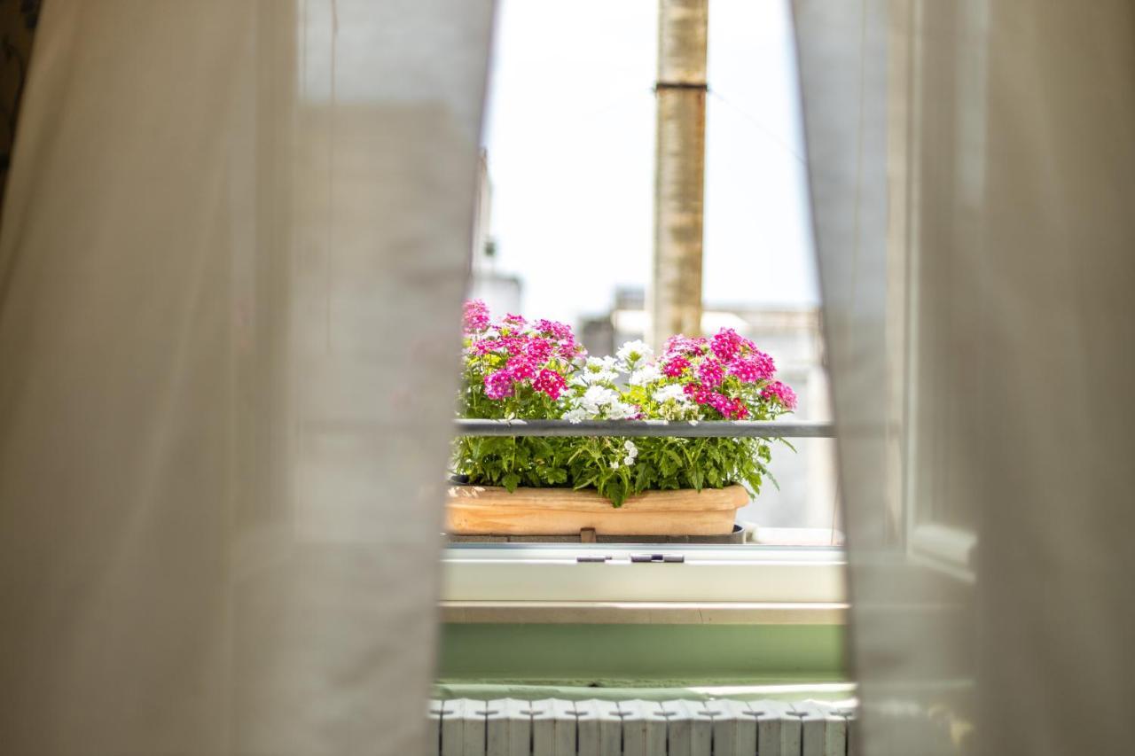 알리스테 Palazzo Dante B&B 외부 사진